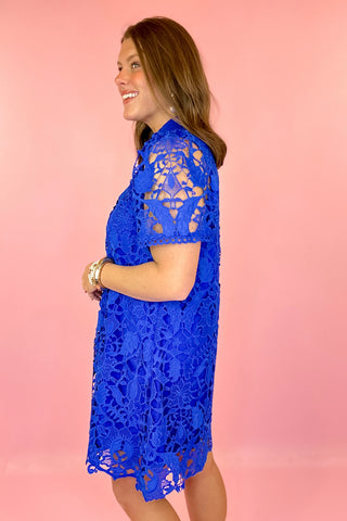 Lace Mini Dress Royal Blue