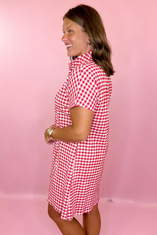 Adrienne: Emma Gingham Mini Dress Red