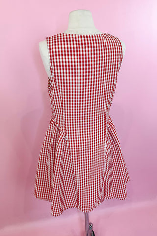 Check Me Out Gingham Mini Dress - Red/White