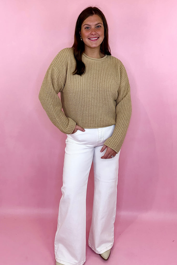 Taupe rolled neck sweater cropped