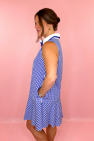 Curated Charm Gingham Sleeveless Mini Dress Blue