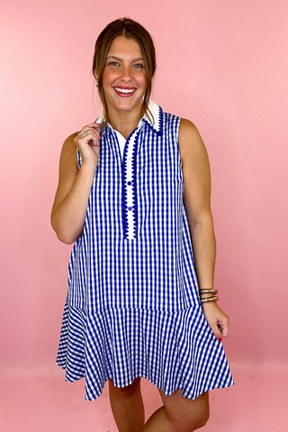 Curated Charm Gingham Sleeveless Mini Dress Blue