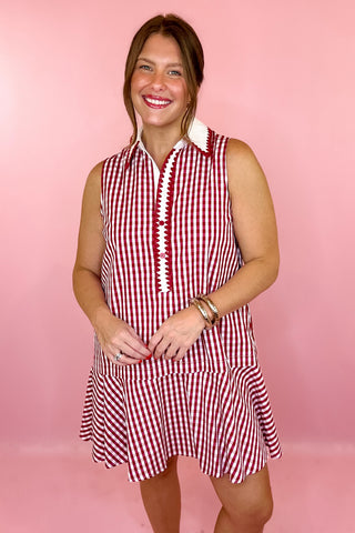Curated Charm Gingham Sleeveless Mini Dress Red