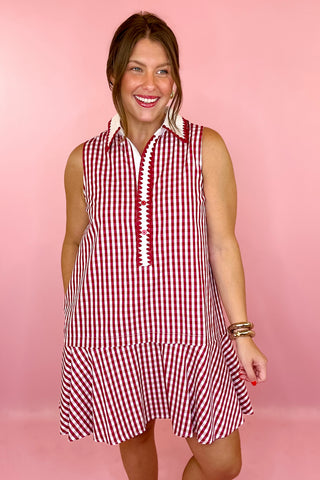 Curated Charm Gingham Sleeveless Mini Dress Red