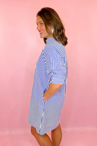 Stripe Mini Dress Blue