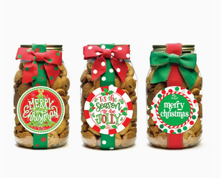 Chocolate Chip Cookie Holiday Jar